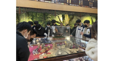 專(zhuān)題報(bào)道